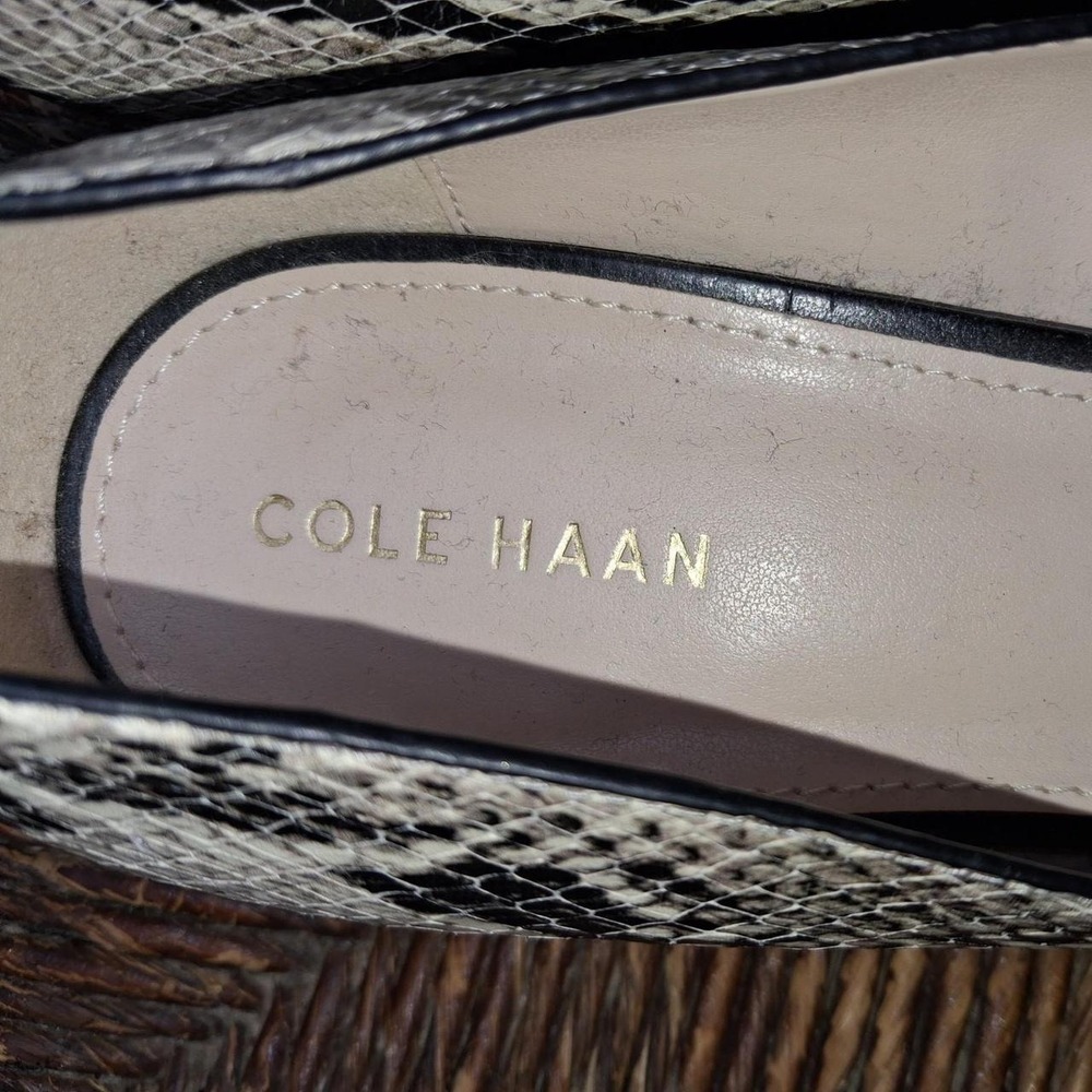 Cole Hahn  snake Stunning